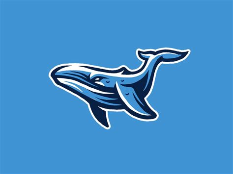 Koen V On Twitter Whale Logo Whale Sketch Mascot Design