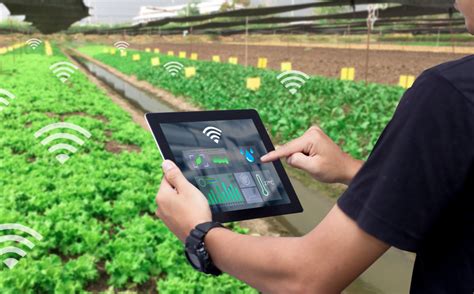 El Futuro Del Sector Agropecuario Las Nuevas Tecnologías En El Campo