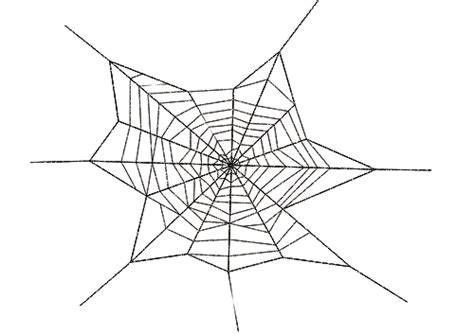 View Spiderweb Png Imgpngmotive