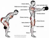 Vastus Lateralis Muscle Exercises