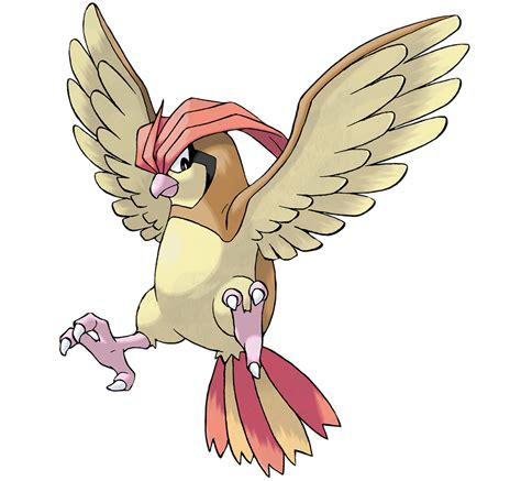 Pidgeotto Wikidex La Enciclopedia Pokémon