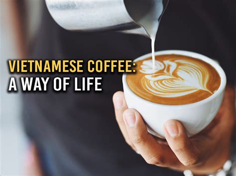 Coffee In Vietnam Vietnamese Coffee Styles And Culture Guide