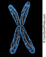 Chromosom Bilder und Stockfotos. 32.034 Chromosom Fotografie und Lizenzfreie Bilder von ...