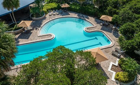 Sheraton Tampa Brandon Hotel Pool Pictures And Reviews Tripadvisor