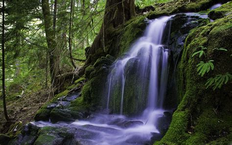 Beautiful Forest Waterfall Mac Wallpaper Download ...