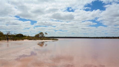 Pink Salt Lakes Attraction The Murray Victoria Australia