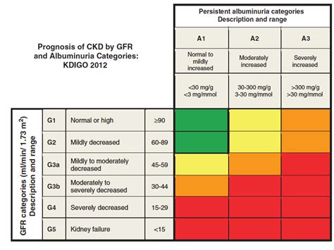 Ckd Summary Overview