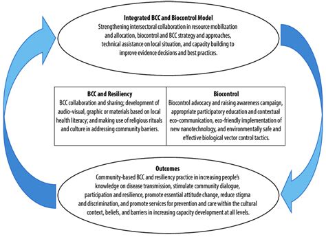 Flow Chart Of New Integrated Behavior Communication Change Bcc And