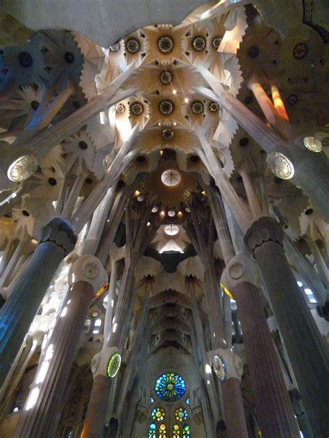 Ceiling View Of La Sagrada Familia Barcelona Spain I Will Never