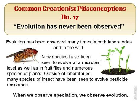Creationist Misconceptions No 17 Observed Answers In Reason