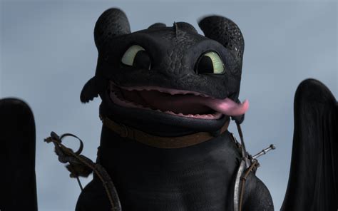 Toothless The Dragon Photo Toothless ★ How Train Your Dragon Dragon Pictures Toothless