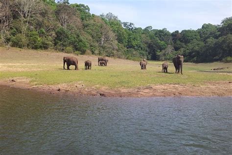 Periyar National Park In Kerala Guide To Plan A Day Tour