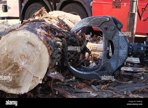 Loading Equipment For Logging Log Loader For Timber Logs Log Loader