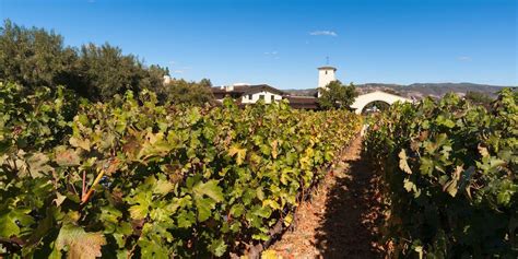 8 Best Napa Valley Wineries For 2018 Top Wineries In Napa Valley With