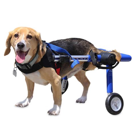 Blue Dog Wheelchair For Medium Dogs 26 49 Pounds Veterinarian