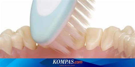 Mulai dari perawatan gigi berlubang sampai perawatan gigi untuk kecantikan. Rawatan Akar Gigi Geraham Bawah - AKARKUA