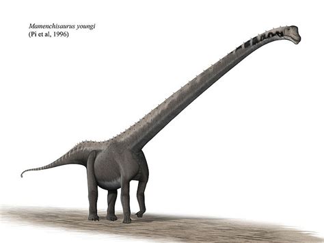 Dinoblog Mamenchisaurus