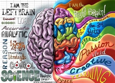Left Brain Vs Right Brain Left Brain Right Brain Brain Illustration