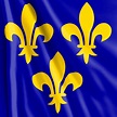 La bandera de Francia - Banderas del Mundo