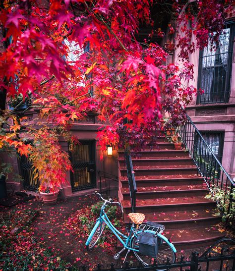 Brooklyn Autumn New York City A Photo On Flickriver