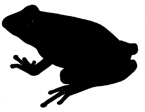 Download High Quality Frog Clipart Silhouette Transparent Png Images
