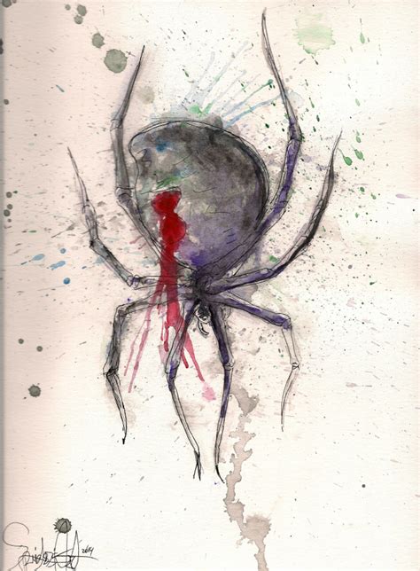 Black Widow Spider Watercolor By Spiders Art On Deviantart