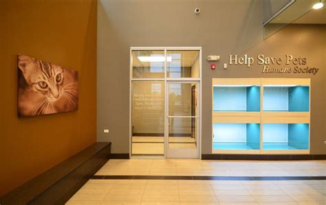 Maybe you would like to learn more about one of these? Animal Care Interior Construction | Hospital design, Pet ...