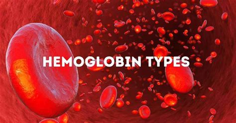 Hemoglobin Electrophoresis Types Of Hemoglobin Doctoronhealth