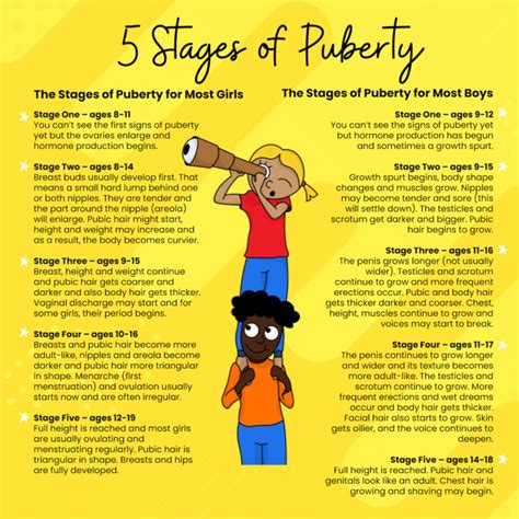 Stages In Puberty For Male The Stages Of Puberty In Boys