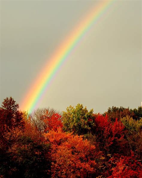 Autumn Rainbow Photograph by Frozen in Time Fine Art Photography
