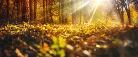 Dia mundial do trabalho (feriado nacional); Corpus Christi 2021, 2022 and 2023 - PublicHolidays.com.hr