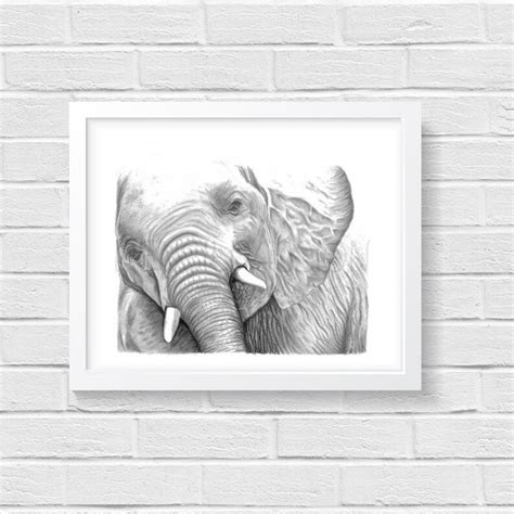 Baby Elephant Art Print Hand Drawn Animal Pencil Drawing A4 Etsy