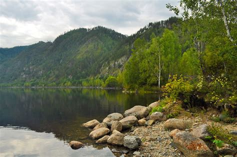 Free Images Beach Landscape Nature Forest Wilderness Sky Warm