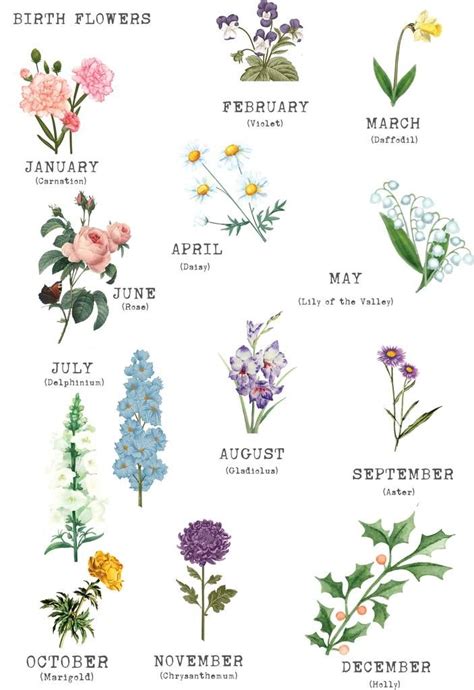 But did you know that our birth month determines our birth flower? Pin by Veronica Soto on cute | Birth flowers, Birth flower ...