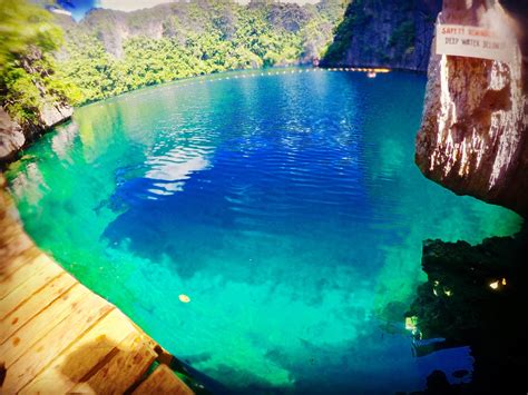 Barracuda Lake In Coron Palawan No Barracudas Here Unfortunately In