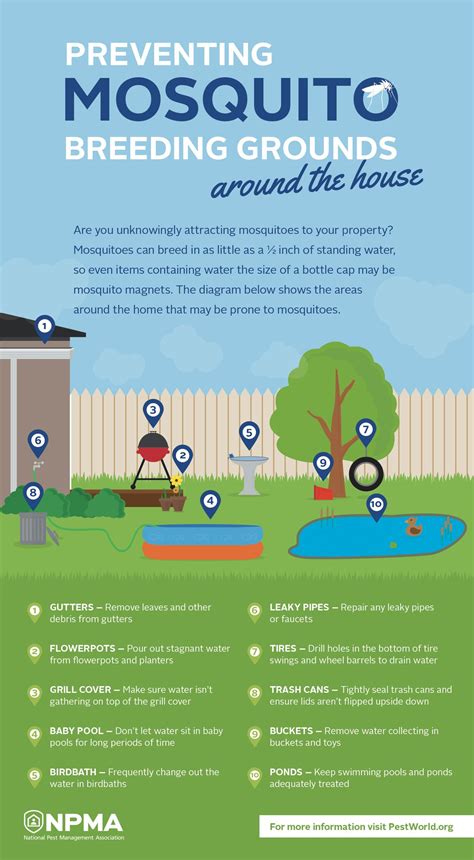 Best Mosquito Repellent For Ponds Standing Water Peepsburghcom