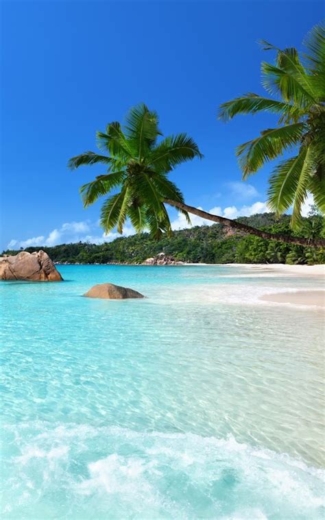 Tropical Beach Live Wallpaper App Ranking And Store Data