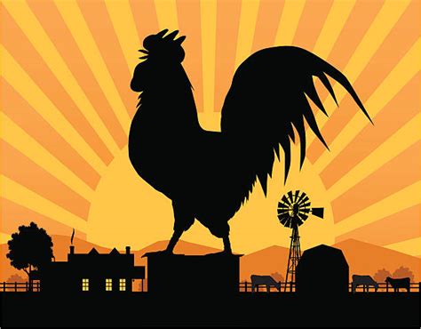 230 Crowing Rooster Silhouette Stock Illustrations Royalty Free Vector Graphics And Clip Art