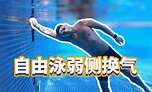 【梦觉】抬头自由泳｜教学 - 知乎