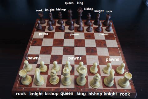 Ultimate Guide Learn The Chess Pieces Names And Moves Chess Lovers Only