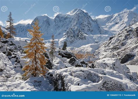 Altai Mountains Stock Image Image Of Forest Glaciers 136605115
