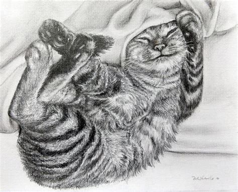 Pastel Pencil Drawing Of Tabby Cat Tabby Cat Drawings Pencil Drawings My Xxx Hot Girl