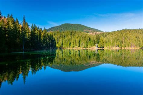 Mountain Lake Among The Coniferous Forest Stock Photo Image Of