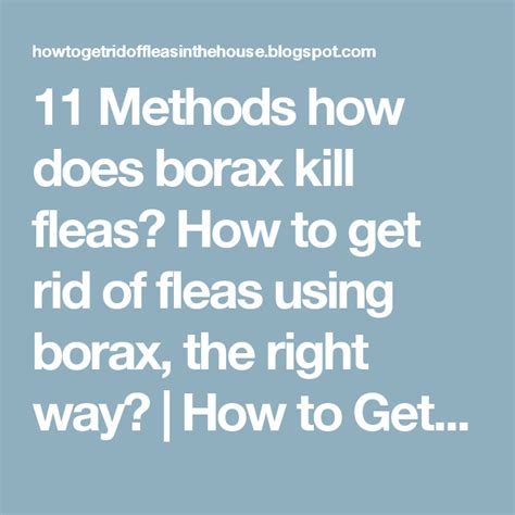 11 Methods How Does Borax Kill Fleas How To Get Rid Of Fleas Using