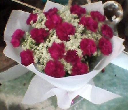 Purple Carnation Flower Bouquet At Best Price In Nashik Pushpmilan