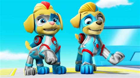 Paw Patrol Mighty Pups Twins Names Pets Lovers