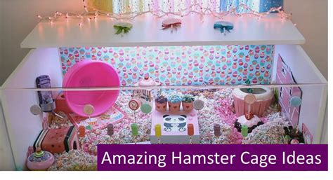 We researched the best options available. amazing-hamster-cage-ideas - All Pet Cages