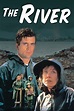 The River wiki, synopsis, reviews, watch and download
