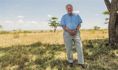 David Attenborough A Life On Our Planet Review Stark Climate