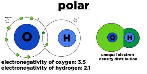 Polar Covalent Molecule